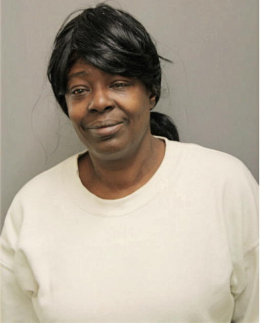 MARY E JONES, Cook County, Illinois