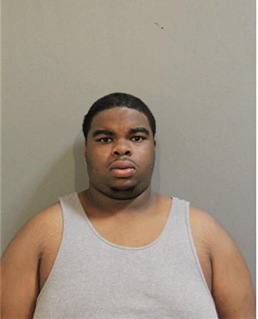 RODERICK D LEWIS, Cook County, Illinois