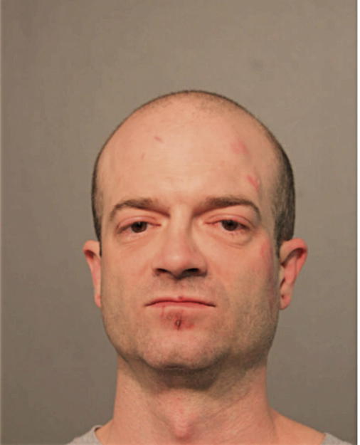 SHAWN M LITTLE, Cook County, Illinois
