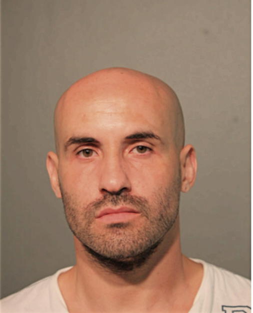 NELSON T MERCADO, Cook County, Illinois