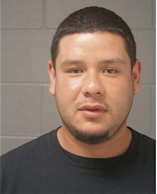 DIEGO A OCHOA, Cook County, Illinois