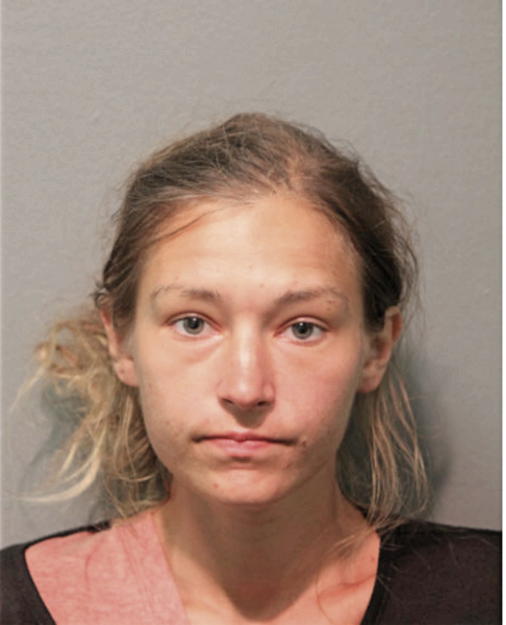 LYNDSAY A RINGSTAD, Cook County, Illinois