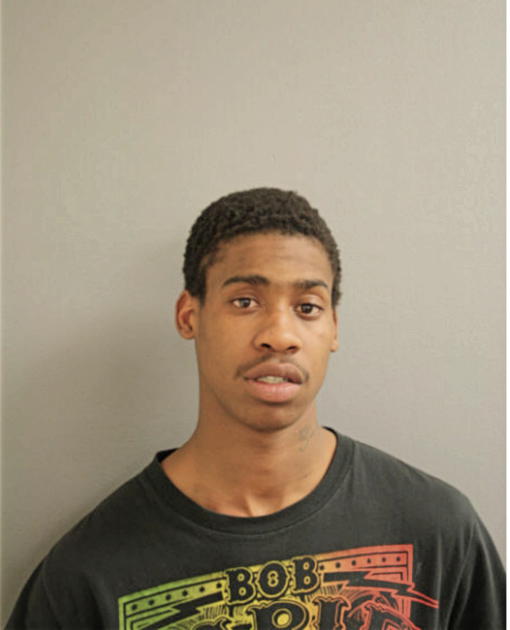 DARNELL D ANDERSON, Cook County, Illinois
