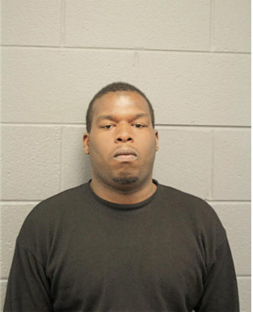 TERRENCE M BRIDGES, Cook County, Illinois