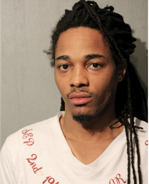 REGINALD D BIVINS, Cook County, Illinois