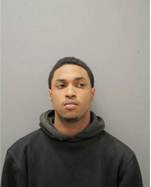 MICHAEL V DEARBORN, Cook County, Illinois