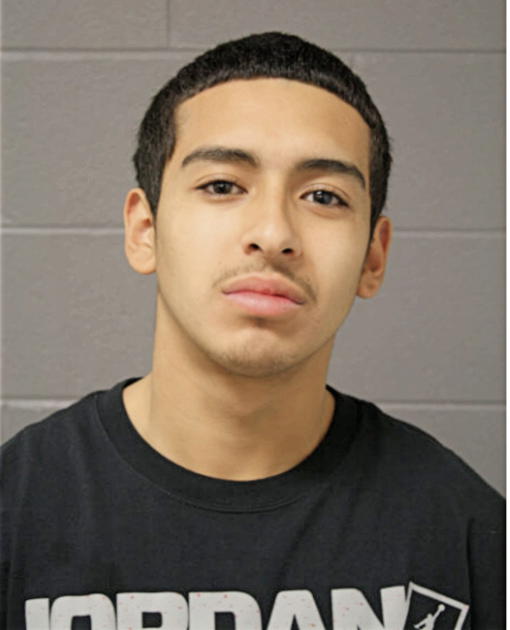 EDGAR D GALVAN, Cook County, Illinois