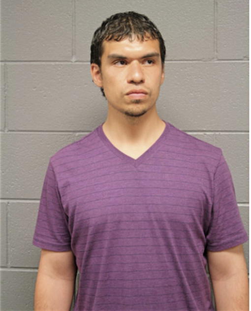 ROBERT T GONZALEZ, Cook County, Illinois