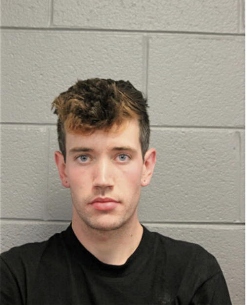 DEREK M ISEBERG, Cook County, Illinois