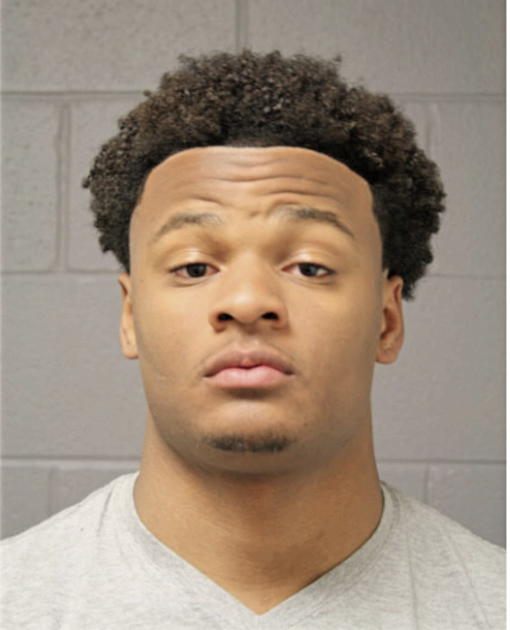 LEVERN M JOHNSON, Cook County, Illinois