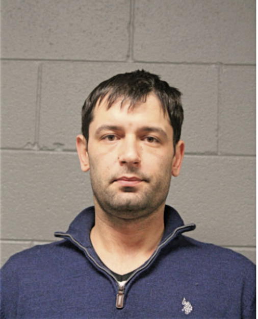 ALEXANDER M MICIC, Cook County, Illinois