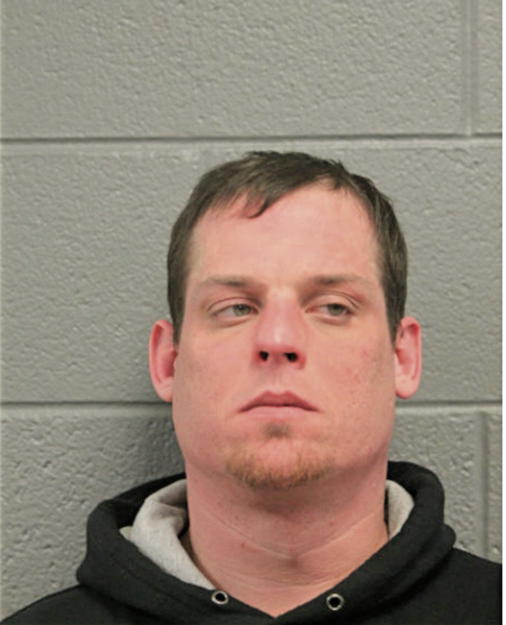STEVEN J NICHOLSON, Cook County, Illinois