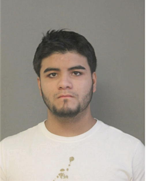 RICARDO E ORTIZ, Cook County, Illinois
