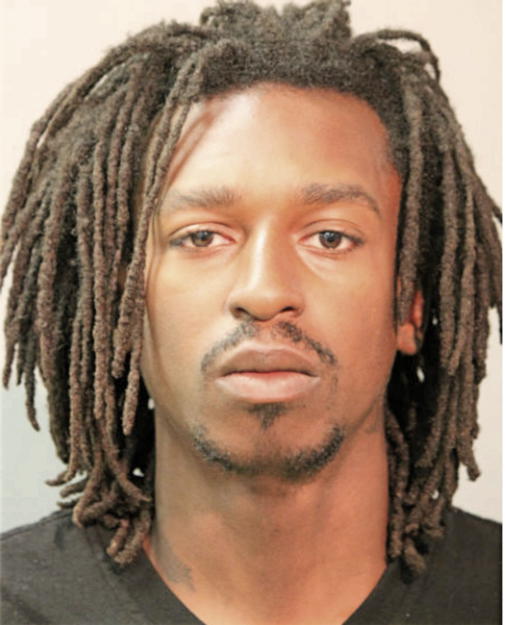 SHAWNDAIRYIOUS L PIERCE, Cook County, Illinois