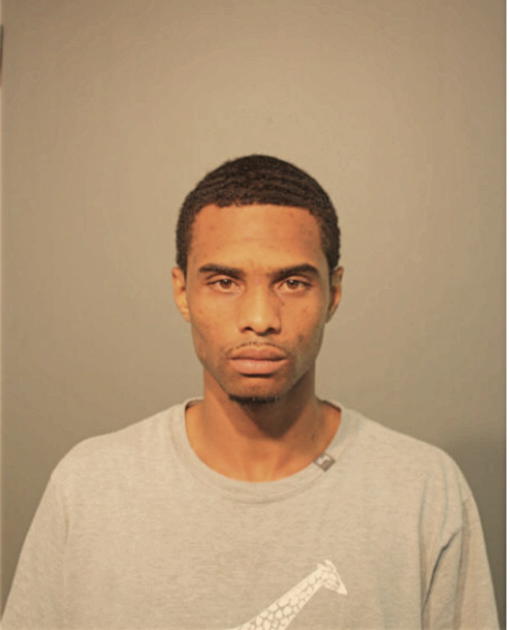 STEVEN A SMITH, Cook County, Illinois