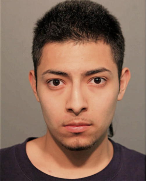 MISAEL SOLIS, Cook County, Illinois