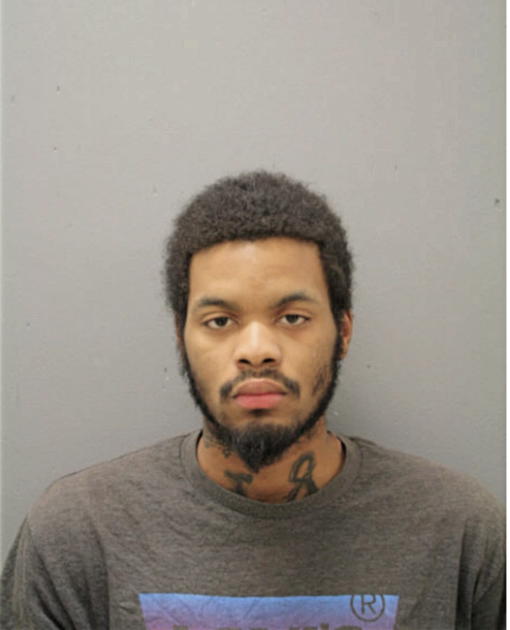 JOHN P WILLIAMS, Cook County, Illinois