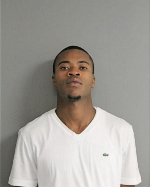 CHRISTOPHER P YOUNG, Cook County, Illinois
