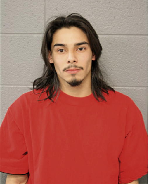 JOSE M ALVAREZ, Cook County, Illinois