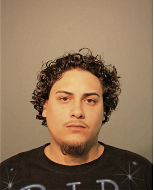JOSE O CANALES, Cook County, Illinois