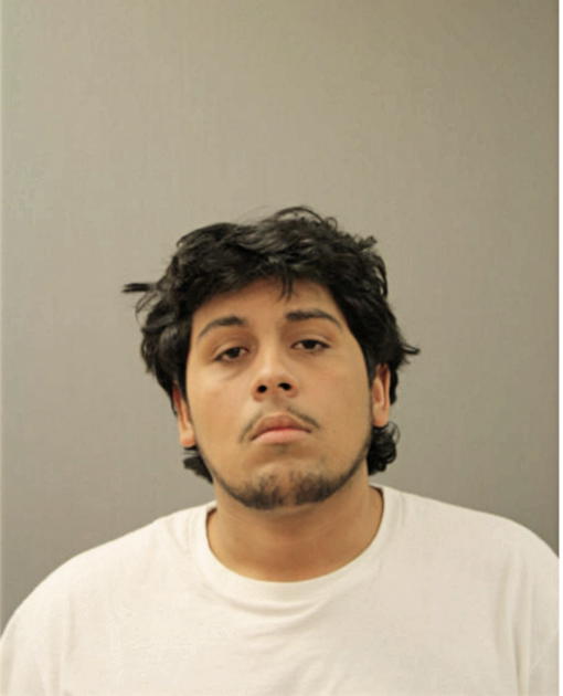 STEVEN A CORDON, Cook County, Illinois