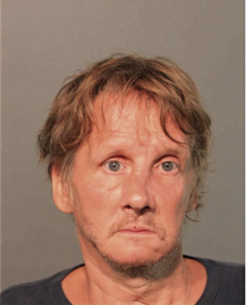 TERRY L DAVIS, Cook County, Illinois