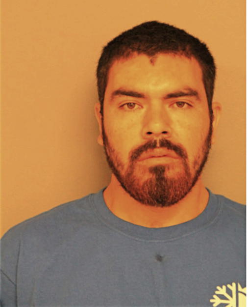 GERMAN GALINDO-MUNGIA, Cook County, Illinois