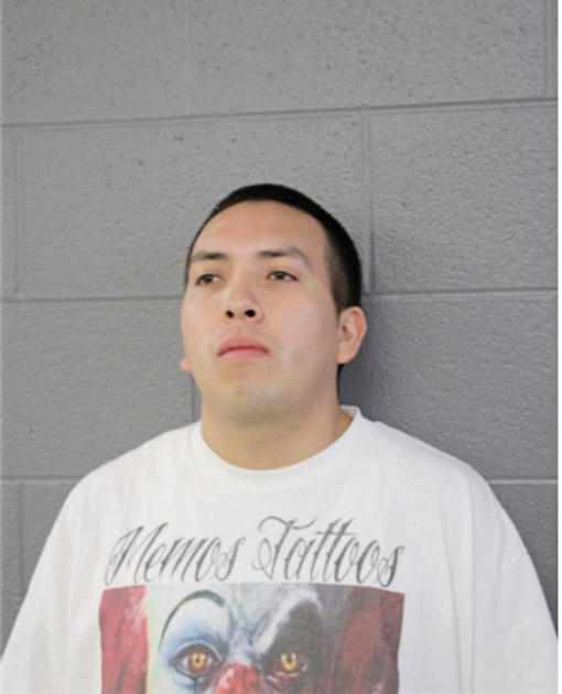 CARLOS GALLEGOS, Cook County, Illinois