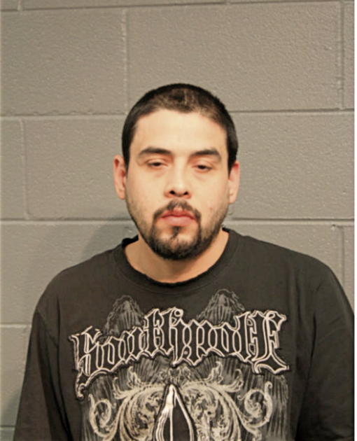 IGNACIO GONZALEZ, Cook County, Illinois