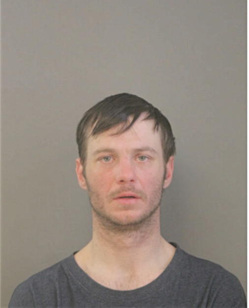 CHRISTOPHER L GREEN, Cook County, Illinois