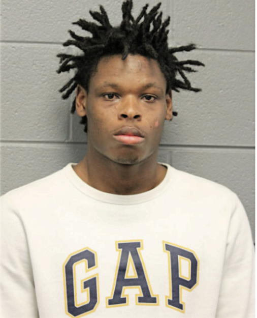 CHRISTIAN M HENDRIX, Cook County, Illinois
