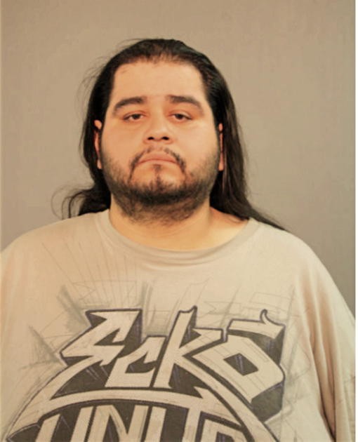 LUIS A HERNANDEZ, Cook County, Illinois