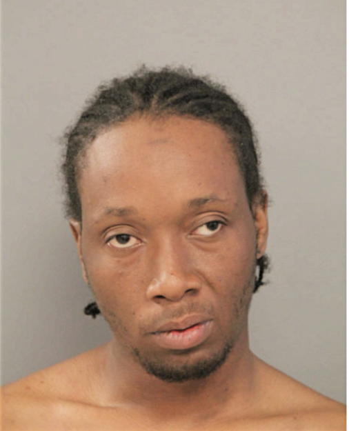 MECAHEL T HOLDER, Cook County, Illinois