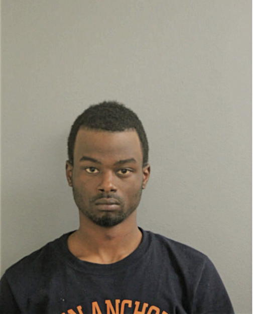 DERRICK C IVY, Cook County, Illinois