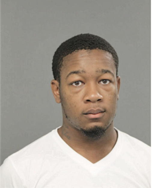 JEROME A JOHNSON, Cook County, Illinois