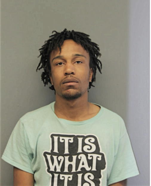 JOSHUA L JOHNSON, Cook County, Illinois