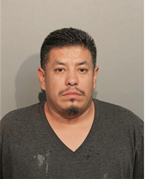 NOE DE LA CRUZ GUTIERREZ, Cook County, Illinois