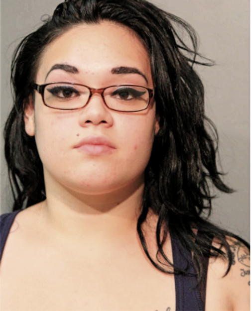 MELAINE G LEBRON, Cook County, Illinois