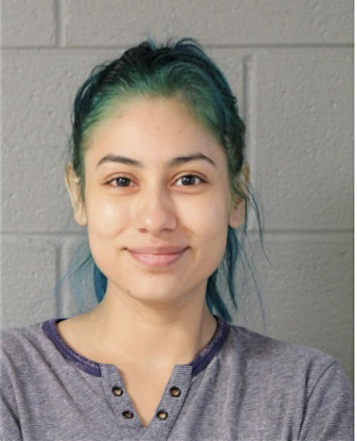 VANESSA A LOPEZ, Cook County, Illinois