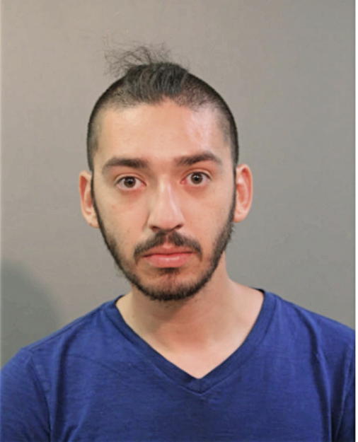 DAVID A MALAVE, Cook County, Illinois
