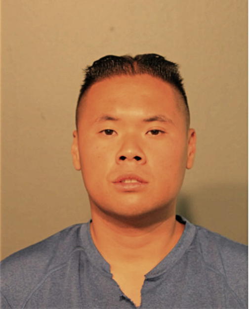 GIANNI V NGUYEN, Cook County, Illinois