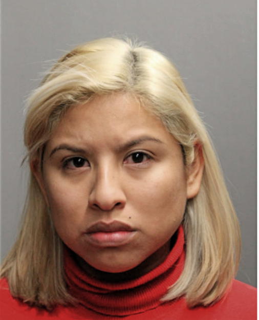 FRANCES M ORTIZ, Cook County, Illinois