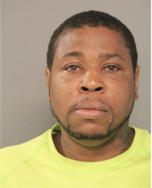 PATRICK J PALMER, Cook County, Illinois