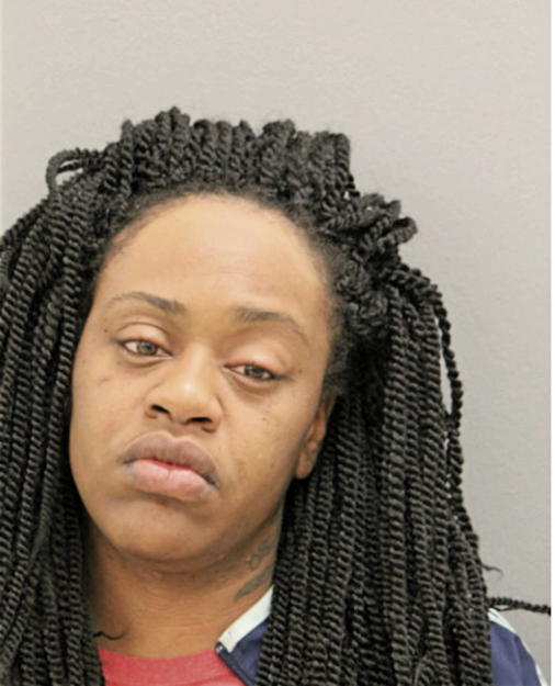 JOCELYN L PAYNE, Cook County, Illinois