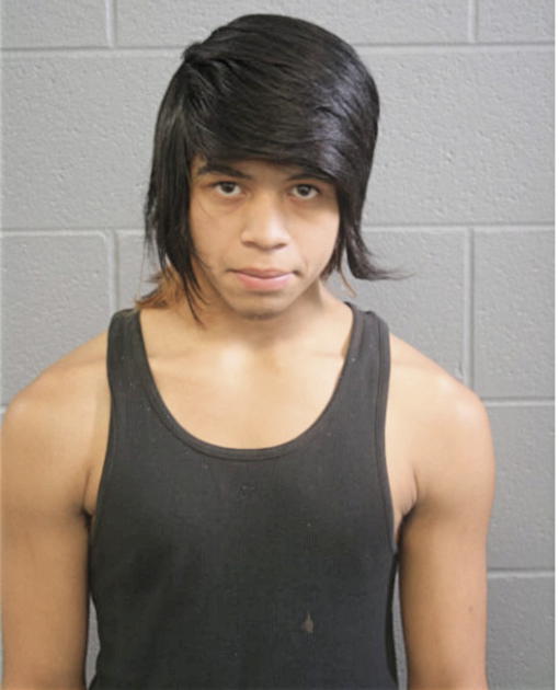 AMNER FLORES PORTILLO, Cook County, Illinois