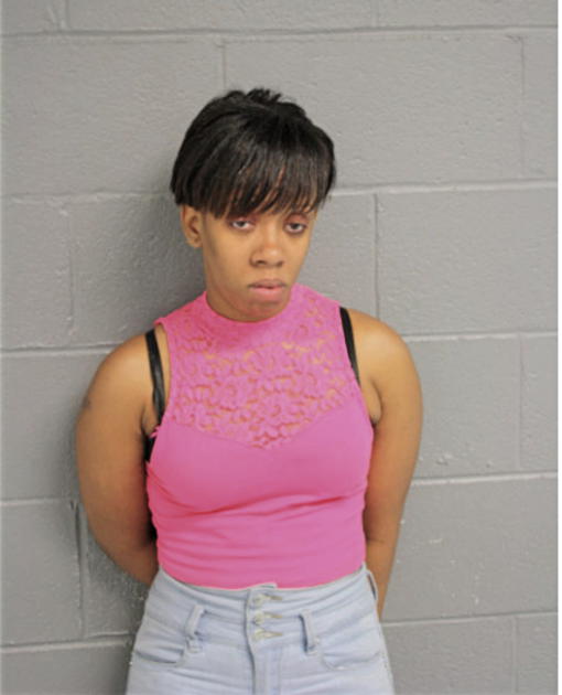 BRANDI L PURCHES, Cook County, Illinois