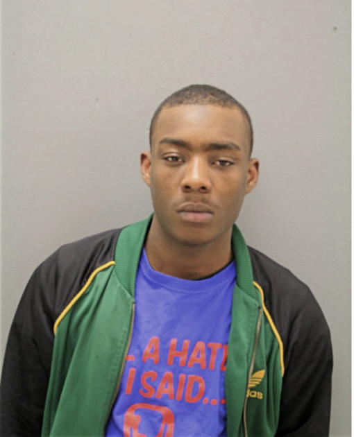 DAVID A SANDERS, Cook County, Illinois