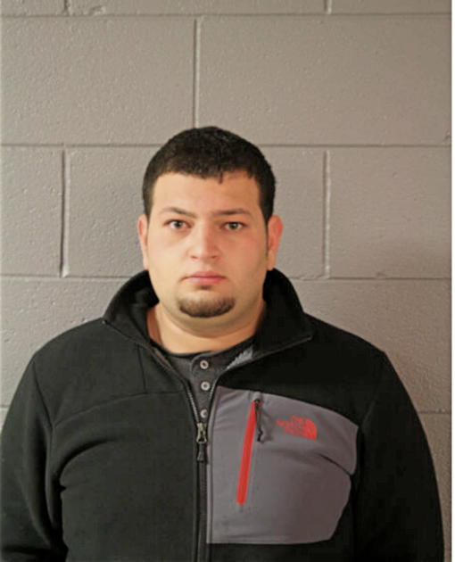 KHALED N SBITANY, Cook County, Illinois
