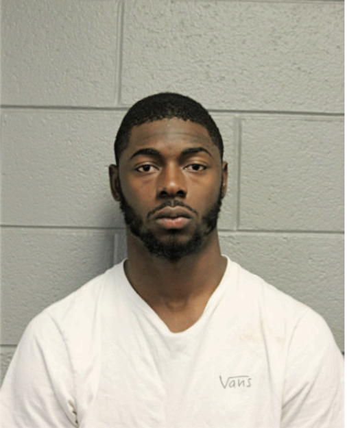 JOEL H SIMMONS, Cook County, Illinois