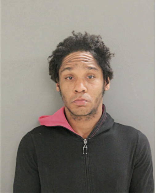 TYRONE L STRICKLAND, Cook County, Illinois